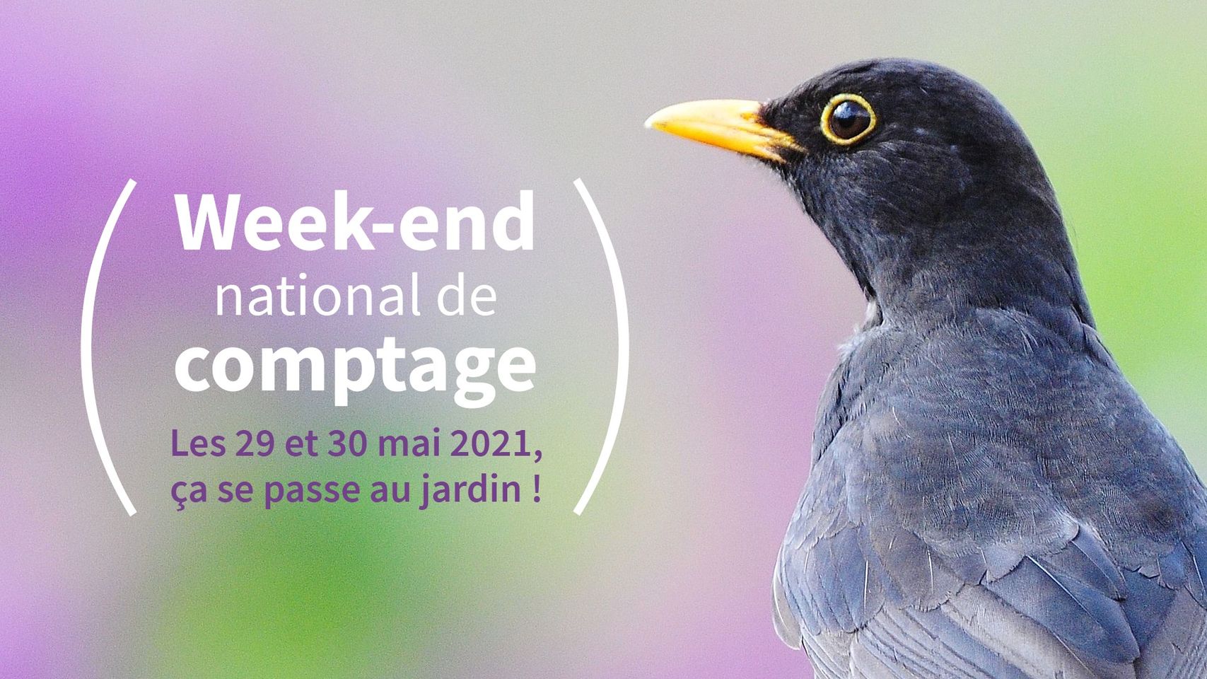logo_week-end_comptage_2021