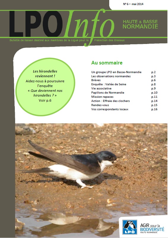 couverture du LPO Infos numéro 06
