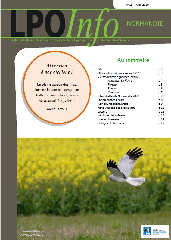 couverture du LPO Infos numéro 18