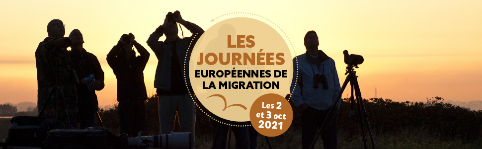 Journées européennes de la maigraiton
