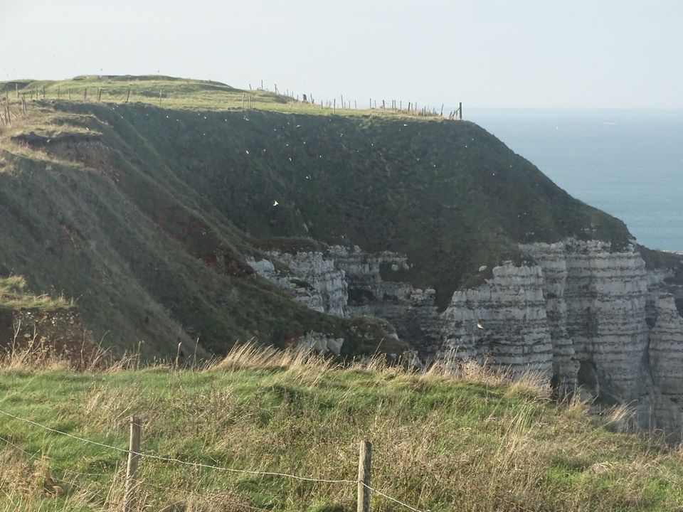 Falaise à Antifer