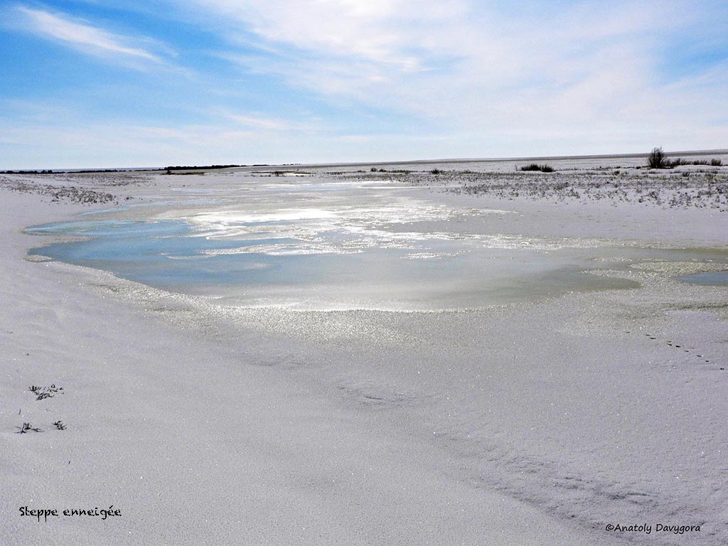 Steppe russe sous la neige