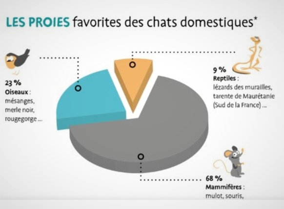 graphique des proies capturées par le chat domestique